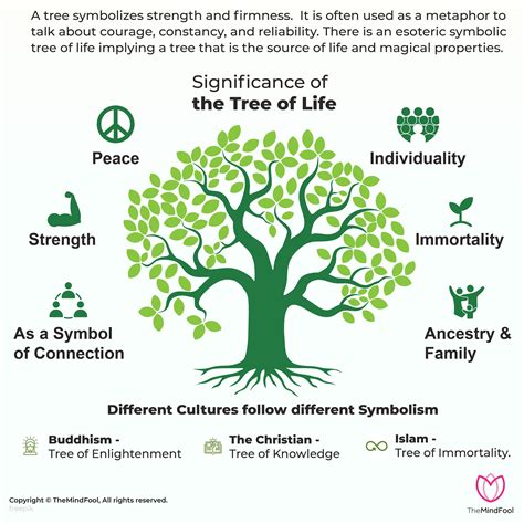 A study of the tree of life and its magical properties